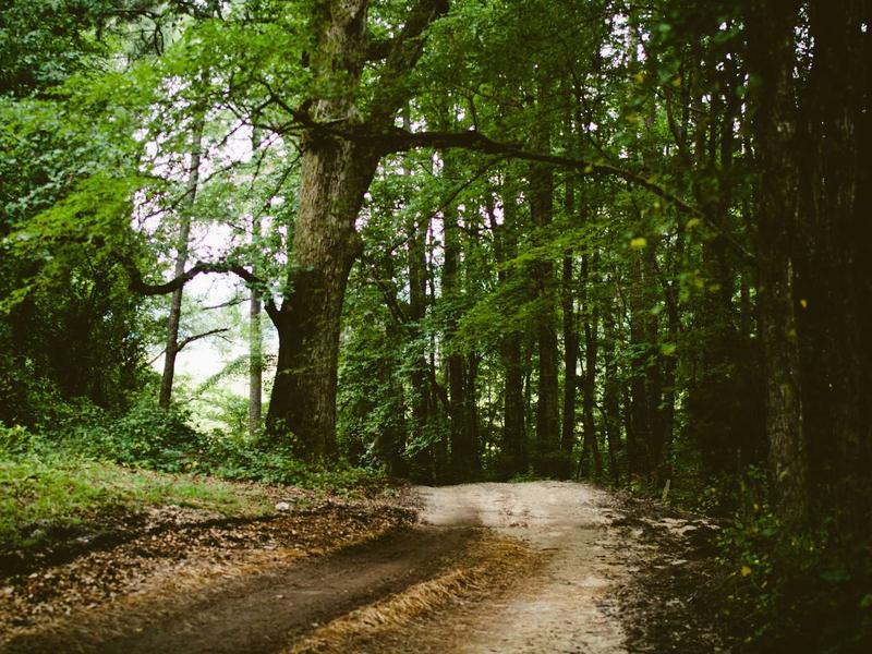 sudoku mouse controls screenshot 3